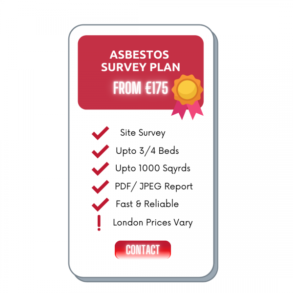 Asbestos Survey Cost